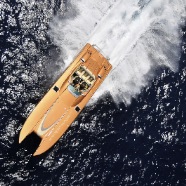 CAT36_006.jpg